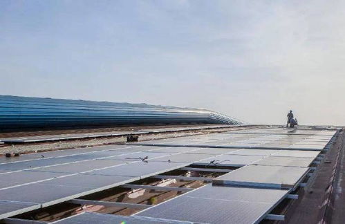 全國光伏發電版圖有了南鋼身影,可減排二氧化碳68萬噸