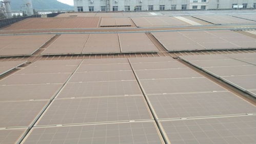 東澤科技水動力光伏清洗機 清洗更高效,維護更簡單