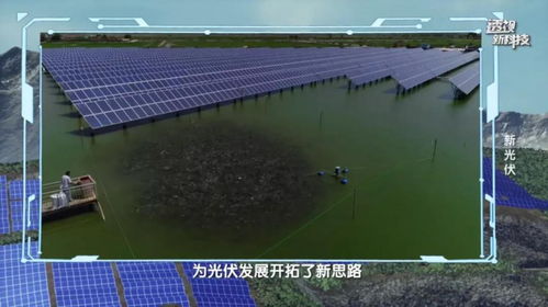 通威亮相cctv 10 透視新科技 欄目 ,展望中國光伏產業新未來