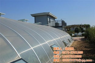 高科技光伏大棚 大棚 精農科技 查看