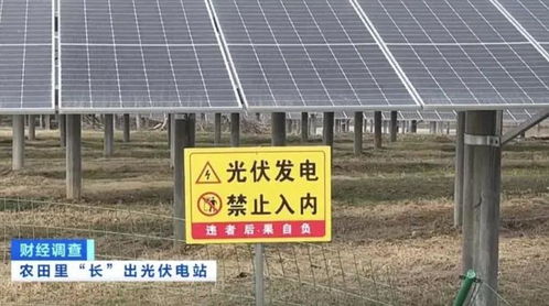 央視曝光湖北孝感多地光伏電站侵占基本農田 當地回應 正在調查核實中